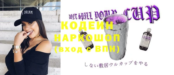 apvp Горнозаводск