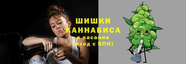 apvp Горнозаводск