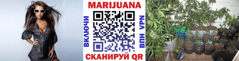 Марихуана LSD WEED  Купить где  Кашин 